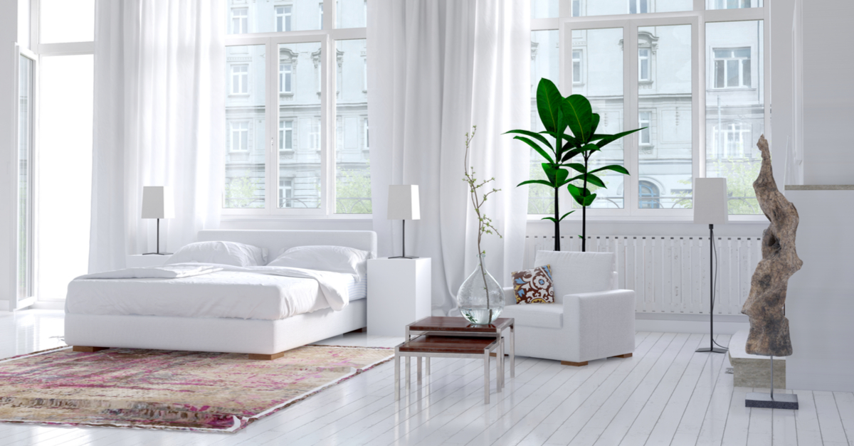 Habitación neutra con el punto de enfoque en la planta