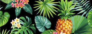 Tendencia tropical: principios básicos