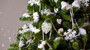 ¿Cómo elegir el árbol de Navidad correcto?