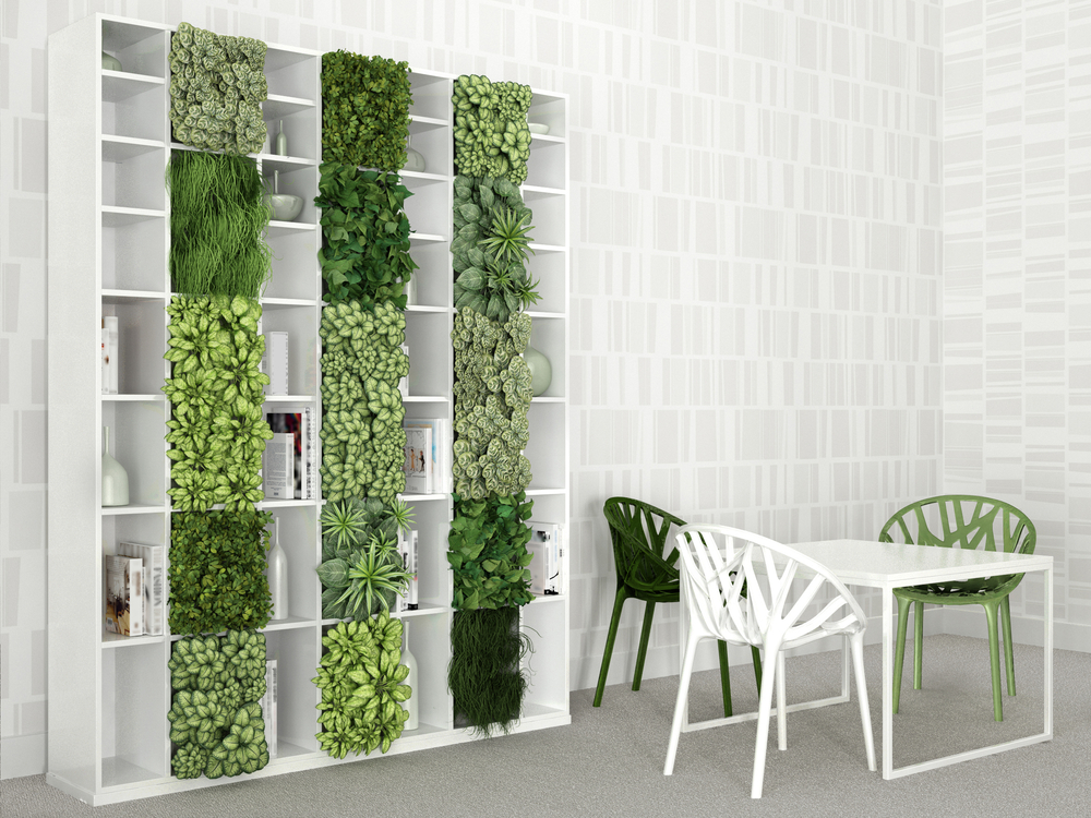 Vertical garden on a shelves
