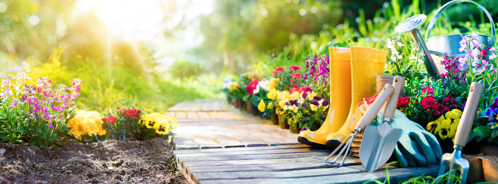 ¿Cómo diseñar tu jardín? ¿Cómo diseñar tu jardín?