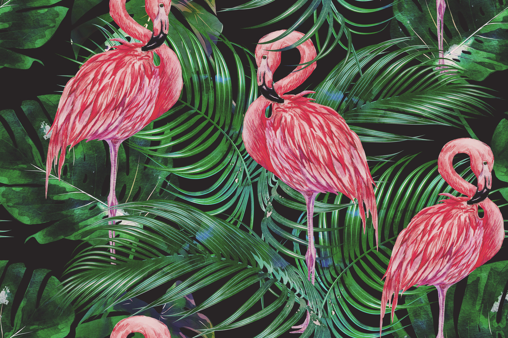 Papel de flamencos para decorar.