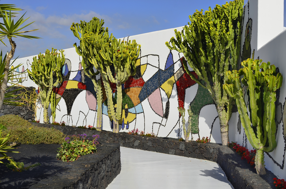 Decoración con plantas de César Manrique.