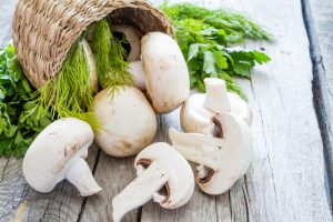 ¿Cómo cultivar champiñones en el jardín?