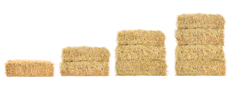 Balas de paja para cultivar los champiñones.