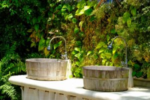 La mejor configuración de tu jardín vertical