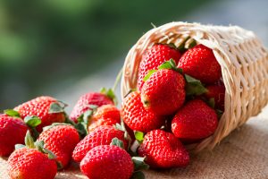 Cómo cultivar fresas en casa