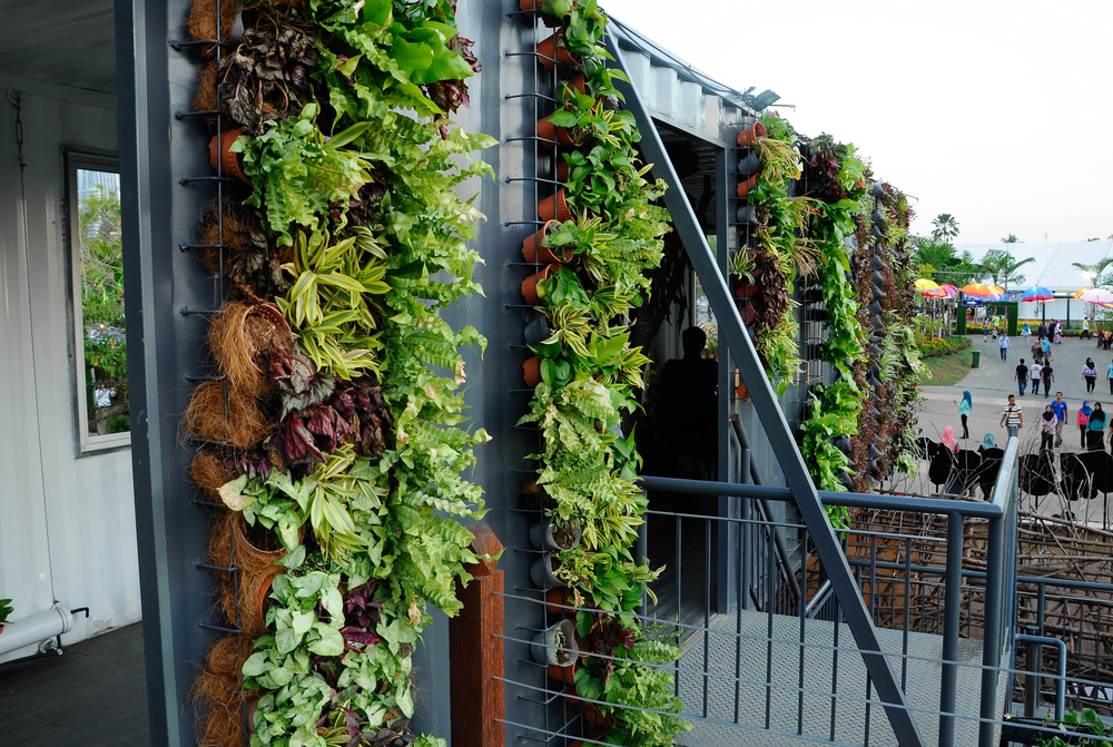 Jardín vertical colgante.