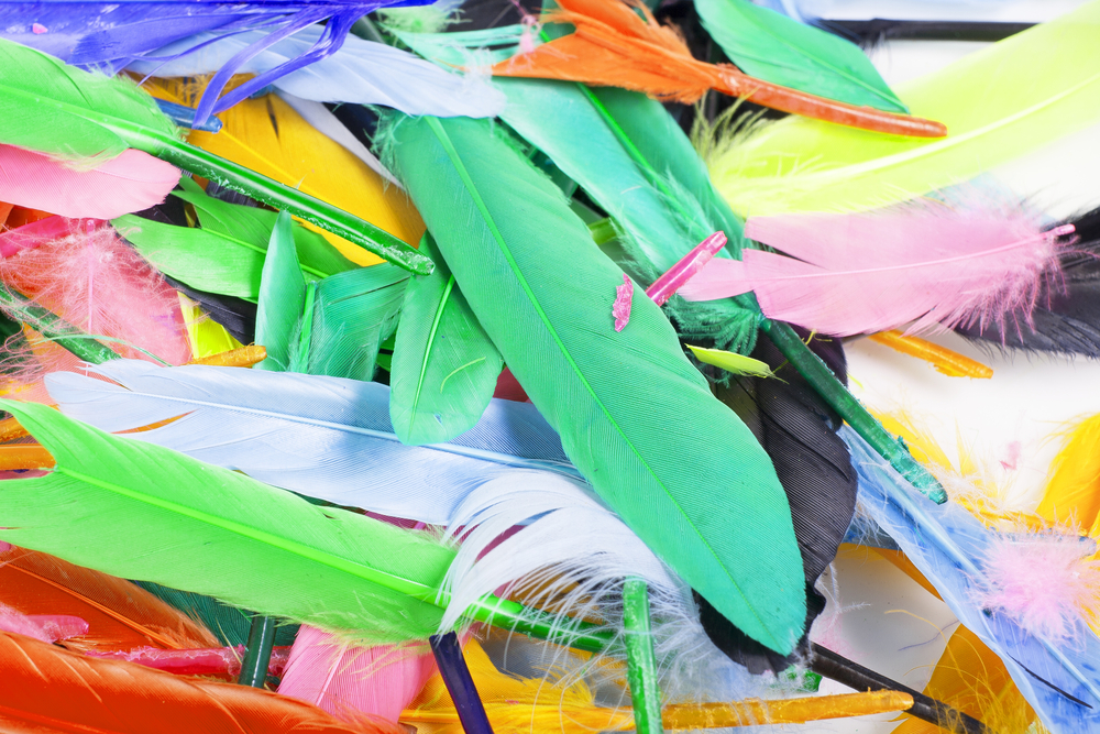 Plumas de colores.