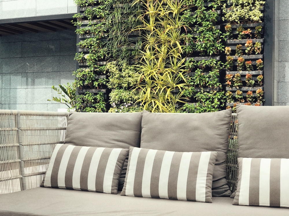 Abono para jardines verticales.