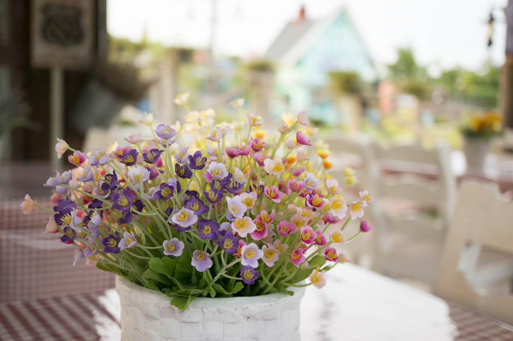 Centerpiece with plants