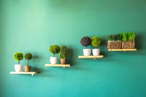 Cómo decorar con murales botánicos