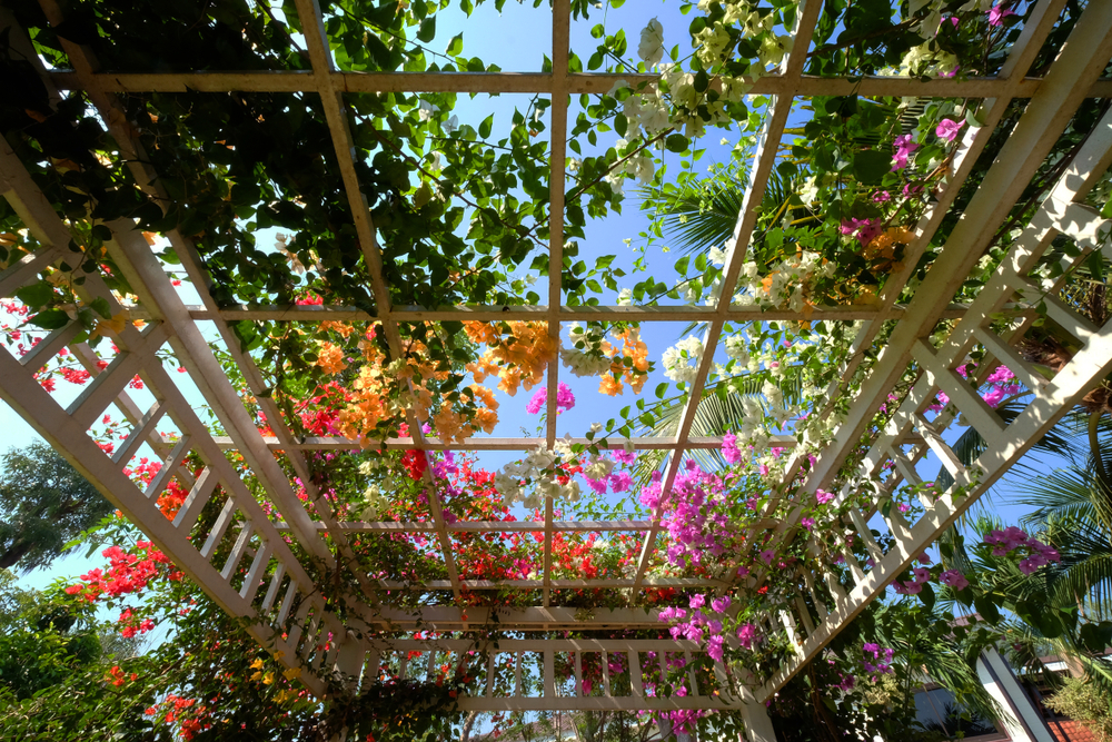 Pérgola con hiedra y flores.