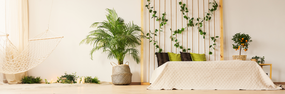 Tipos de plantas para climas secos.