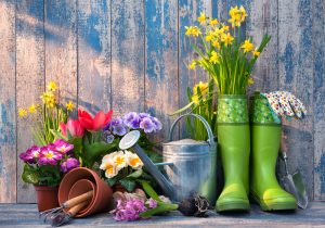 4 consejos para el cuidado del jardín en verano