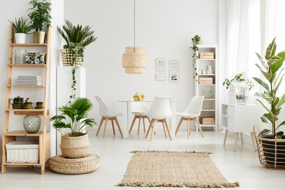 Decorar con damajuanas.