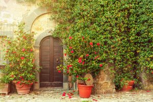Ideas para decorar tu casa con hiedra