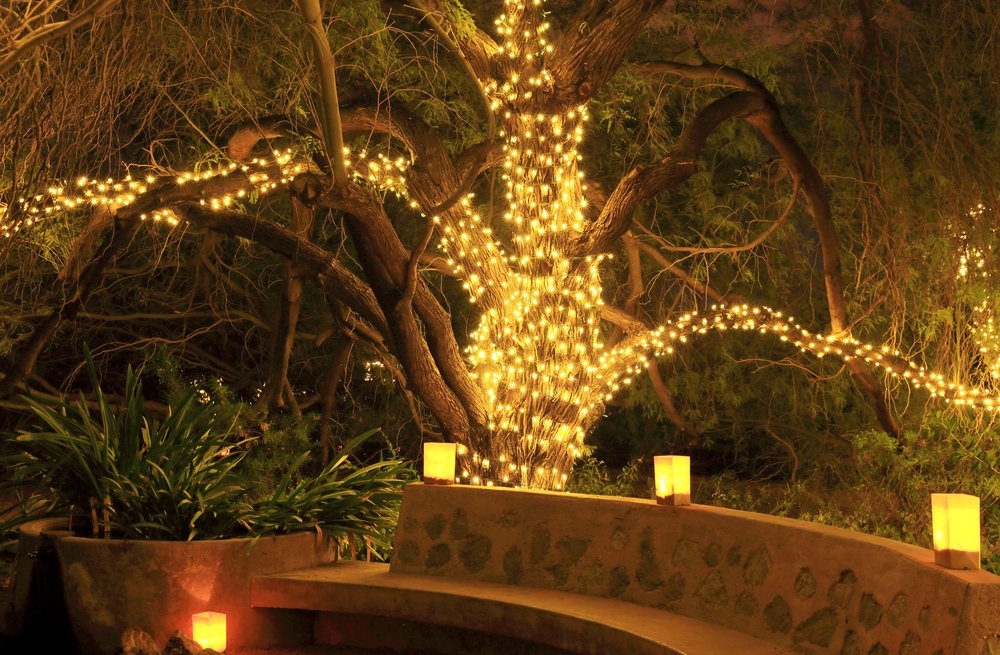 Guirnaldas en árbol.