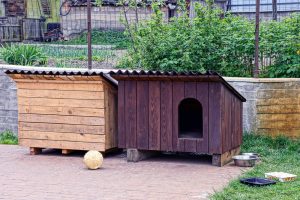 Cómo hacer una caseta para tu perro