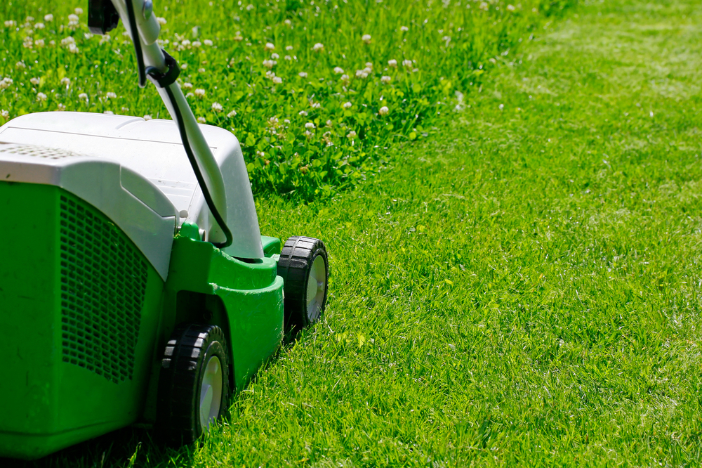 Mantenimiento del césped.