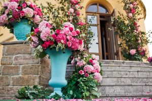 Consejos para el mantenimiento del rosal en perfecto estado