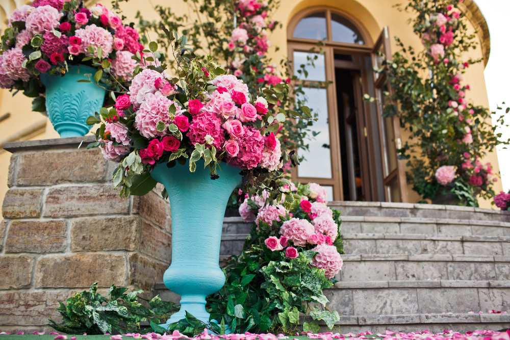 Consejos para el mantenimiento del rosal en perfecto estado Consejos para el mantenimiento del rosal en perfecto estado