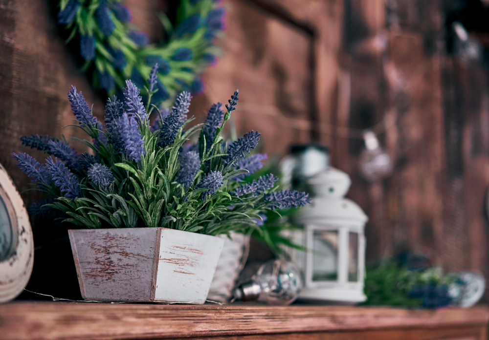 planta estilo rústico