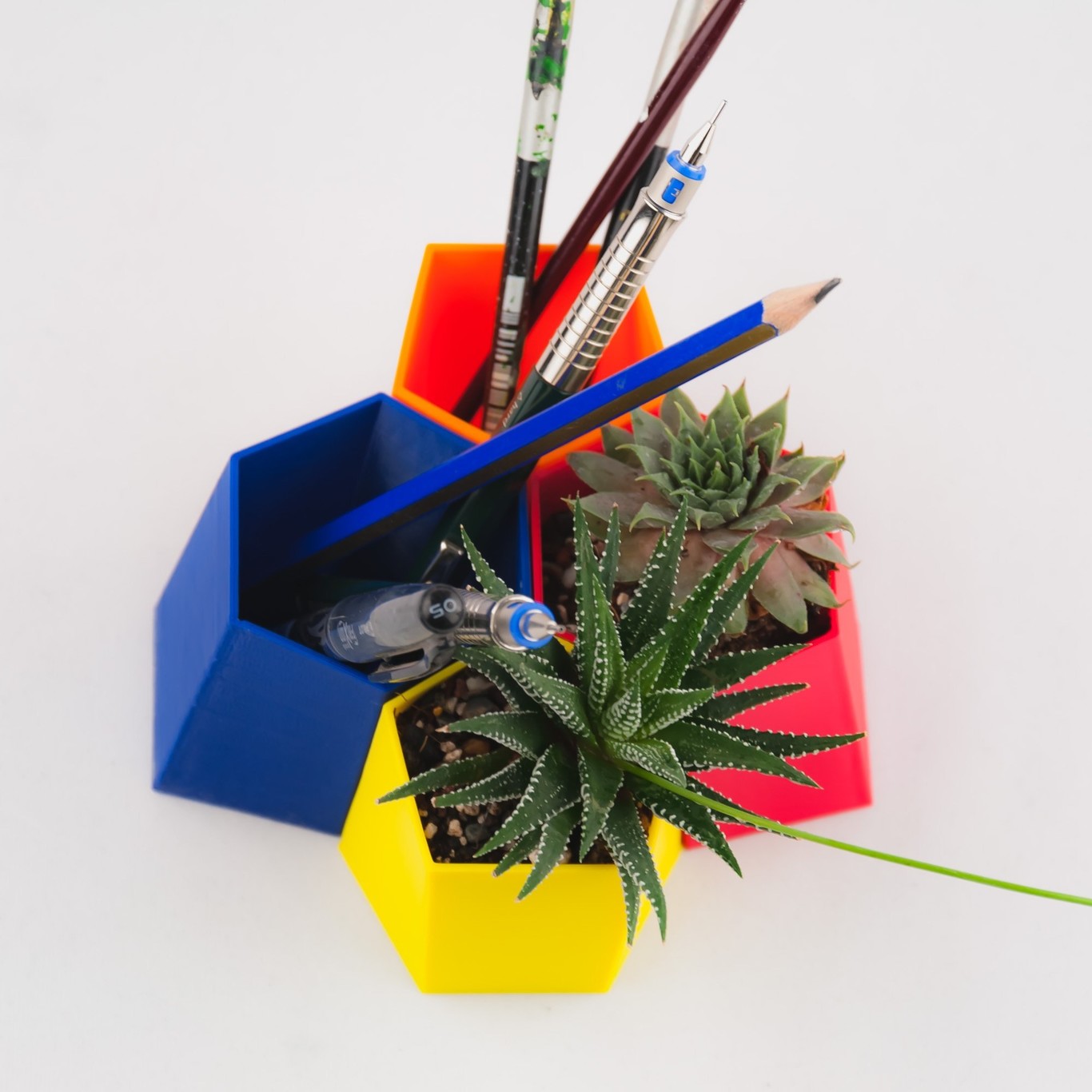 decoración escutoide en botes de lápices