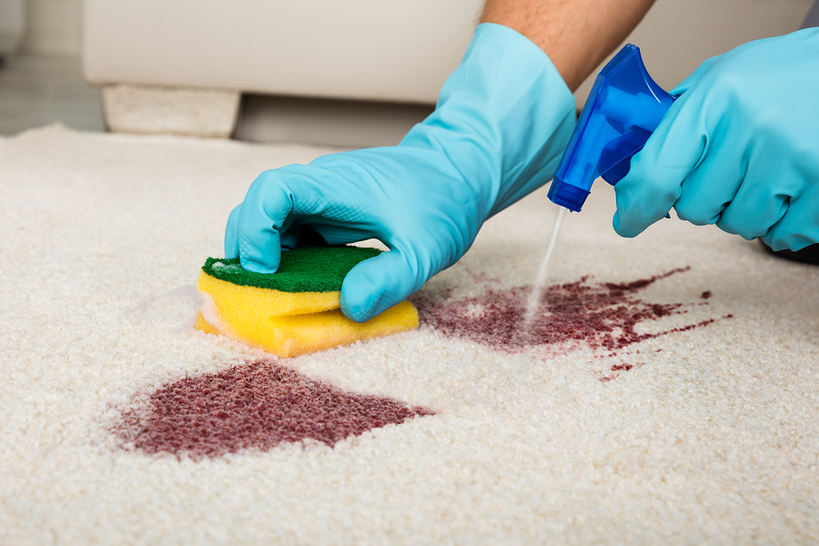 Cómo puedes limpiar tu alfombra sin tener que retirarla de su lugar Cómo puedes limpiar tu alfombra sin tener que retirarla de su lugar