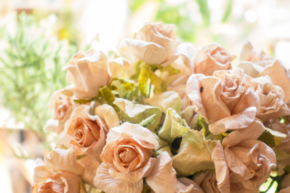 Rosas, plantas artificiales