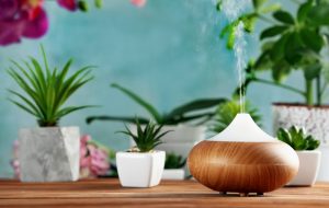 El arte de elegir los aromas para tu casa