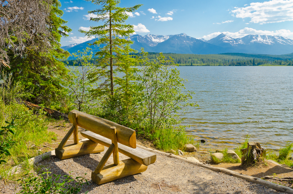 wooden furniture bench