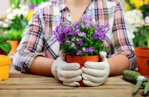 Decorar macetas con piedras