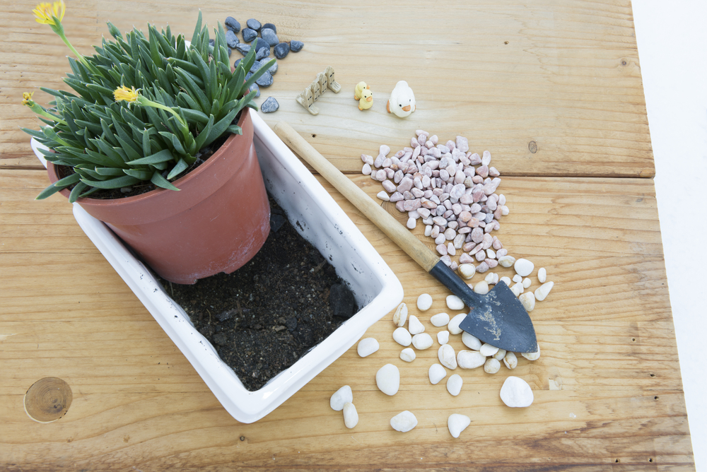 decorar macetas con piedras