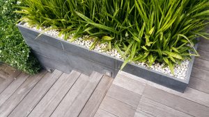 Plantas decorativas para las escaleras del hogar