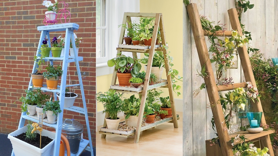 Construye un soporte para plantas con forma de escalera ...