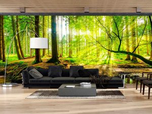 5 increíbles fotomurales para decorar cualquier espacio del hogar