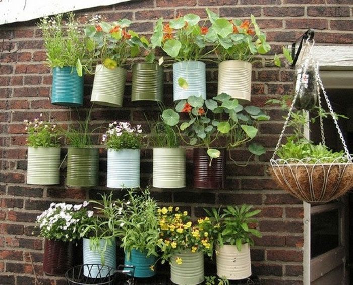 Tin can miniature garden.