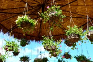 4 tips para hacer un jardín colgante