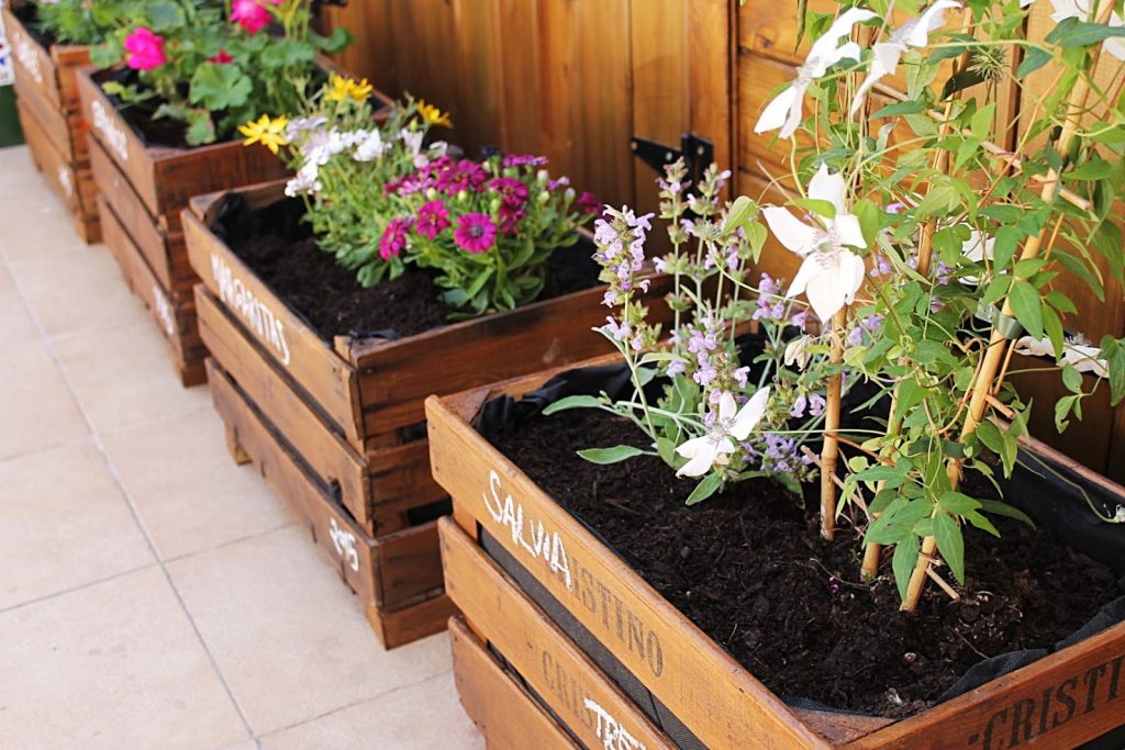 Jardines en miniatura.