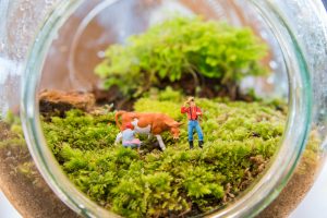 5 jardines en miniatura que te van a encantar