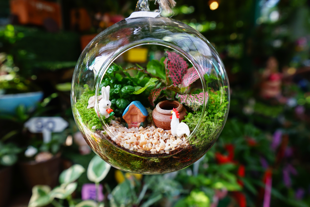Mini jardín japonés.