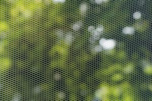 Mosquiteras para terrazas, crea un ambiente relajante y protegido