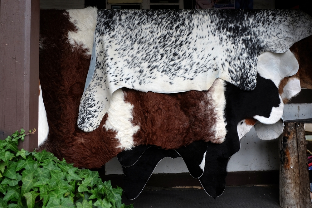 牛皮地毯可以是天然的，也可以是人造的。