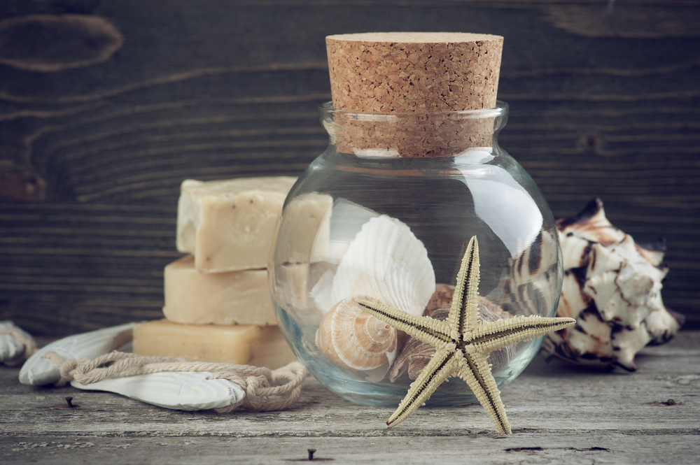 Colecciones de caracolas.