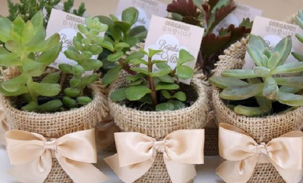 Macetas con arpillera.