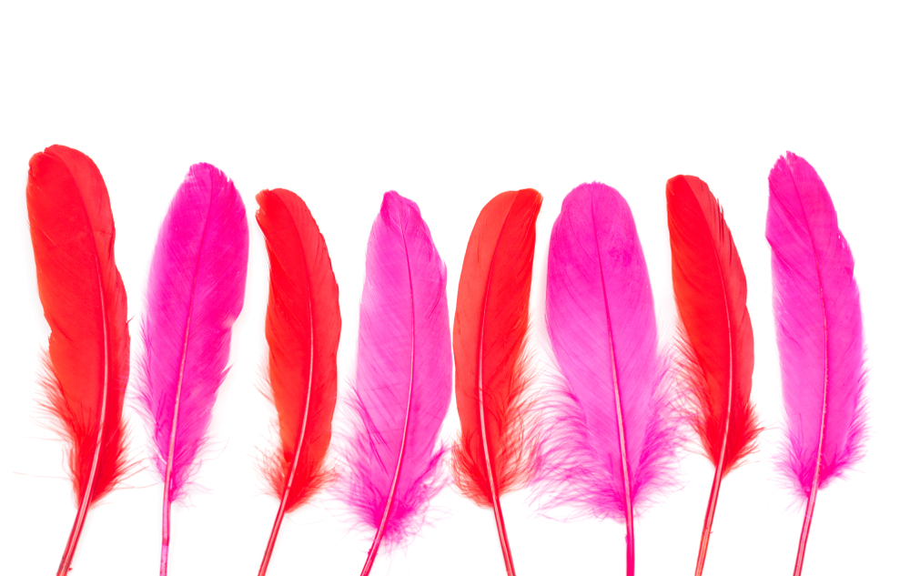 Manualidades con plumas.