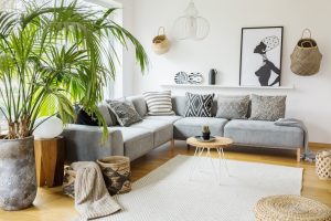 Tipos de palmeras de interior para decorar la casa
