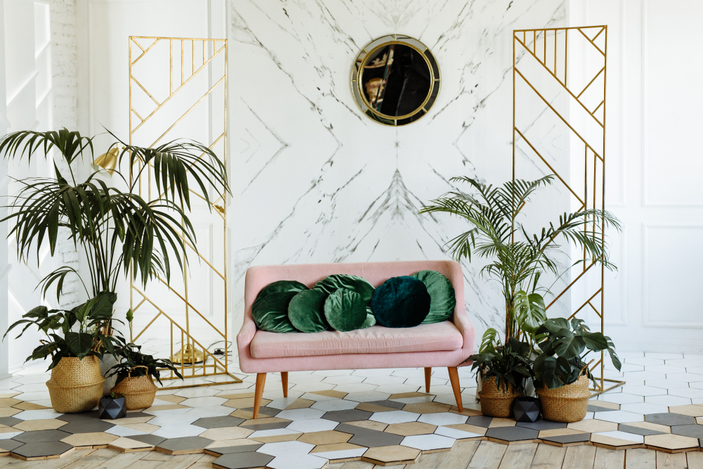 Palmeras de interior.