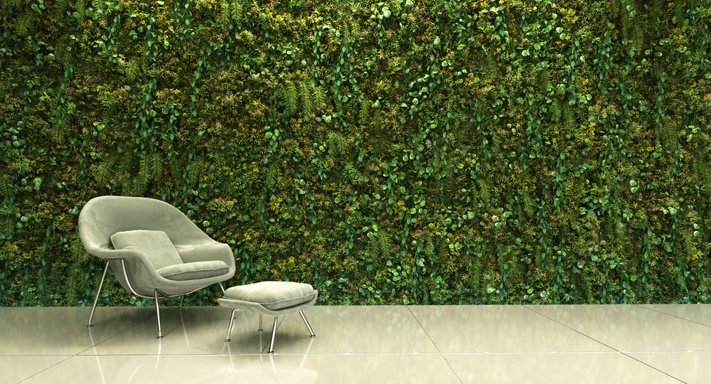 Enredadera para pasillo.